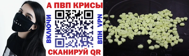 мориарти телеграм  как найти   Благовещенск  Альфа ПВП СК КРИС 