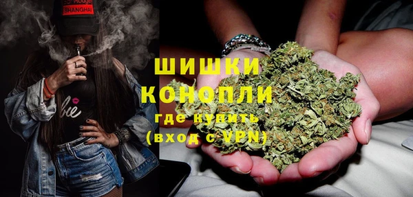 стафф Майский